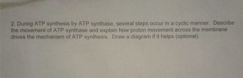 Solved 2. During Atp Synthesis By Atp Synthase, Several 