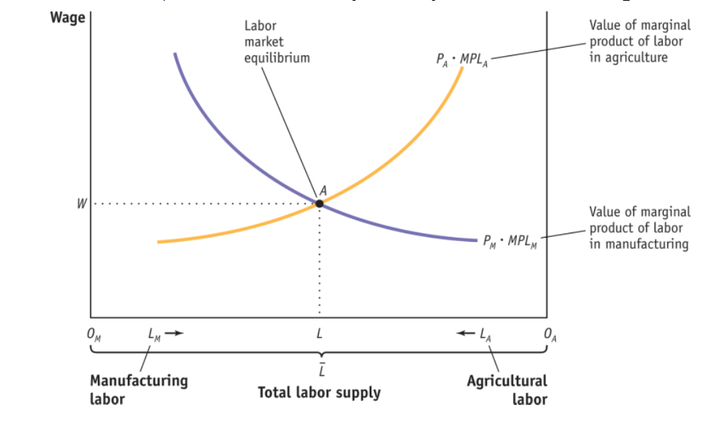 1. Consider a Specific Factors Model, as developed in | Chegg.com