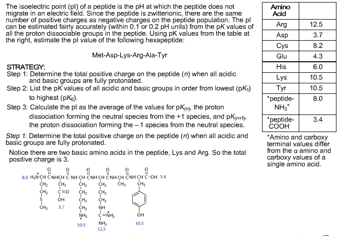 calculate pi amino acid sequence practice problems