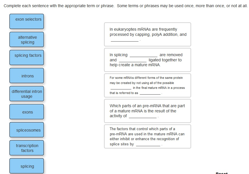 Solved Complete Each Sentence With The Appropriate Term Or | Chegg.com