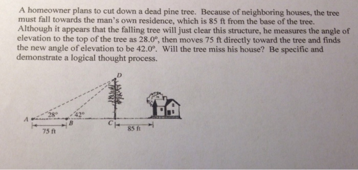 Solved A Homeowner Plans To Cut Down A Dead Pine Tree Chegg