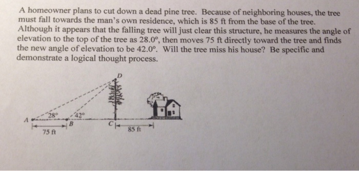 solved-a-homeowner-plans-to-cut-down-a-dead-pine-tree-chegg