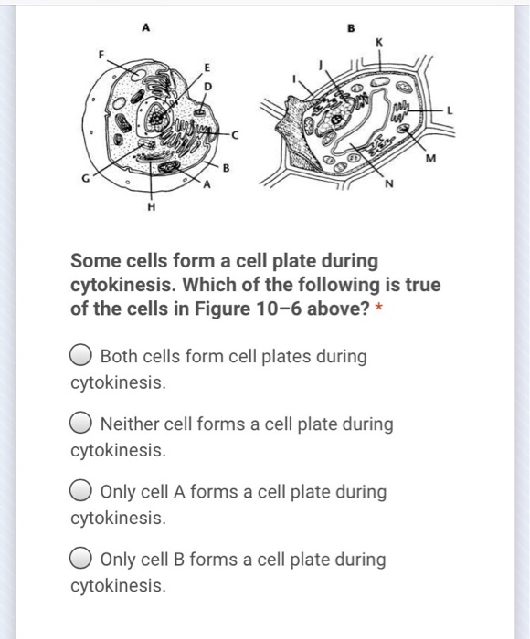 Solved 09 Multicellular organism → Fertilized egg A