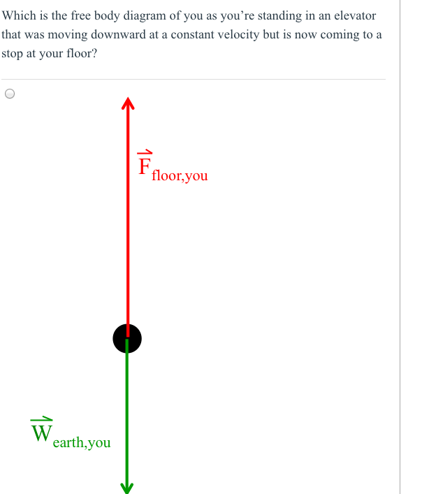 Solved Which is the free body diagram of you as you're