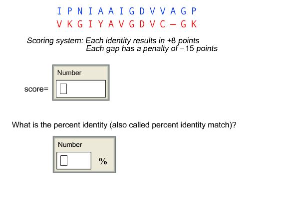 Solved Use the scoring system described below to calculate | Chegg.com