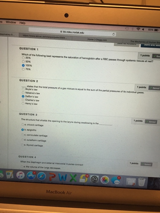 Solved Which of the following best represents the saturation | Chegg.com