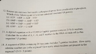 biochemistry | Chegg.com