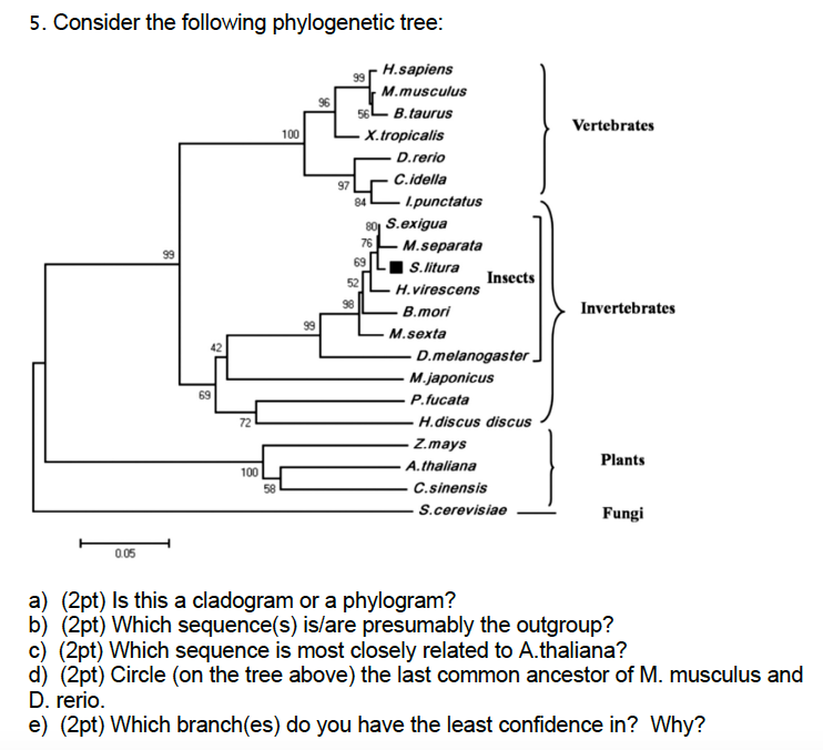 Solved 5. Consider The Following Phylogenetic Tree R | Chegg.com