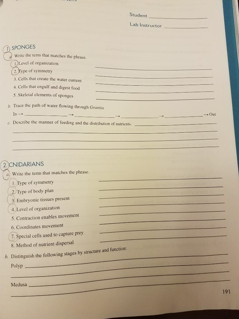 Solved Student Lab Instructor SPONGES Write the term that