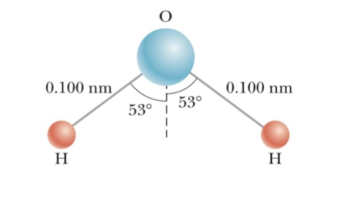 Solved A Water Molecule Consists Of An Oxygen Atom With Two Chegg Com