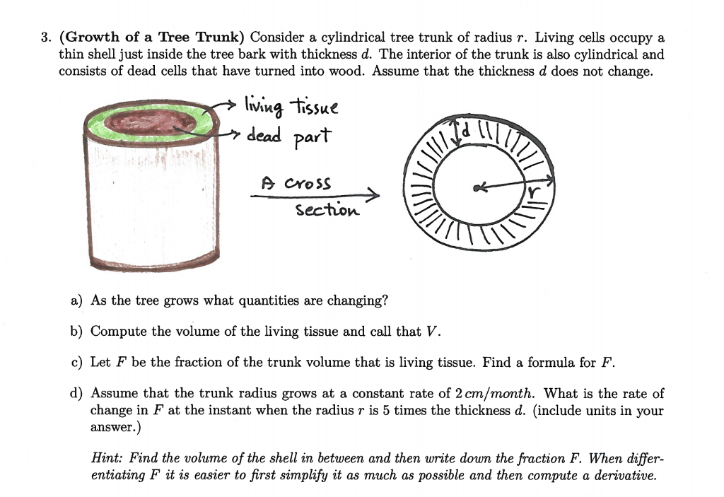 Solved 3. (Growth of a Tree Trunk) Consider a cylindrical