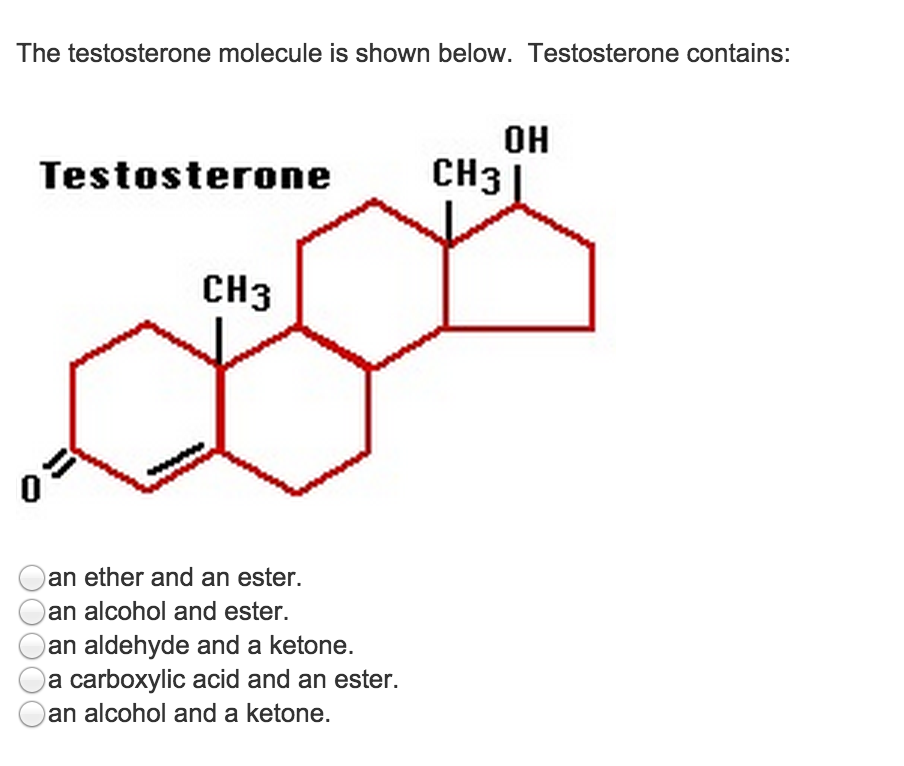 Solved The testosterone molecule is shown below. | Chegg.com