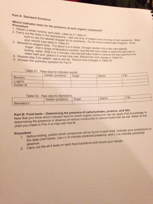 MACROMOLECULE TESTING LAB ANSWER KEY