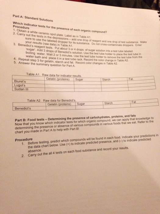 macromolecule-testing-lab-answer-key