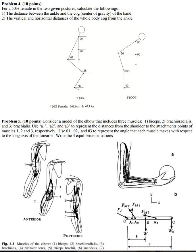 Solved For a 50% female in the two given postures, calculate | Chegg.com