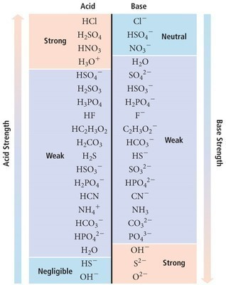 Solved Sodium benzoate is a common food preservative. What | Chegg.com