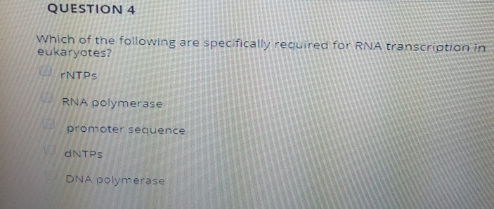 Solved Which of the following characteristics of RNA is NOT | Chegg.com
