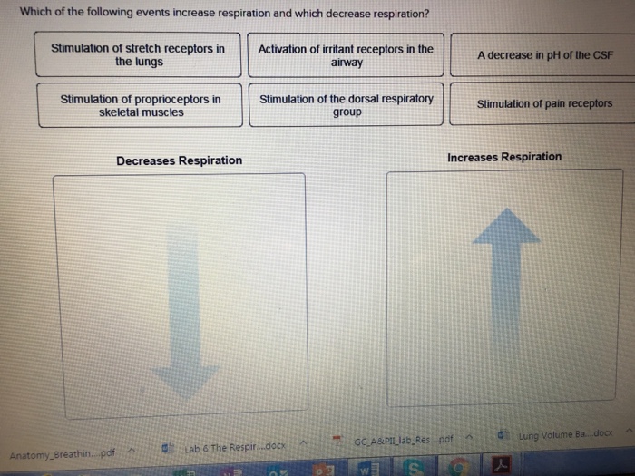 Solved Which of the following events increase respiration | Chegg.com