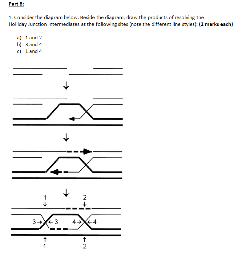 Solved Part B: 1. Consider The Diagram Below. Beside The | Chegg.com