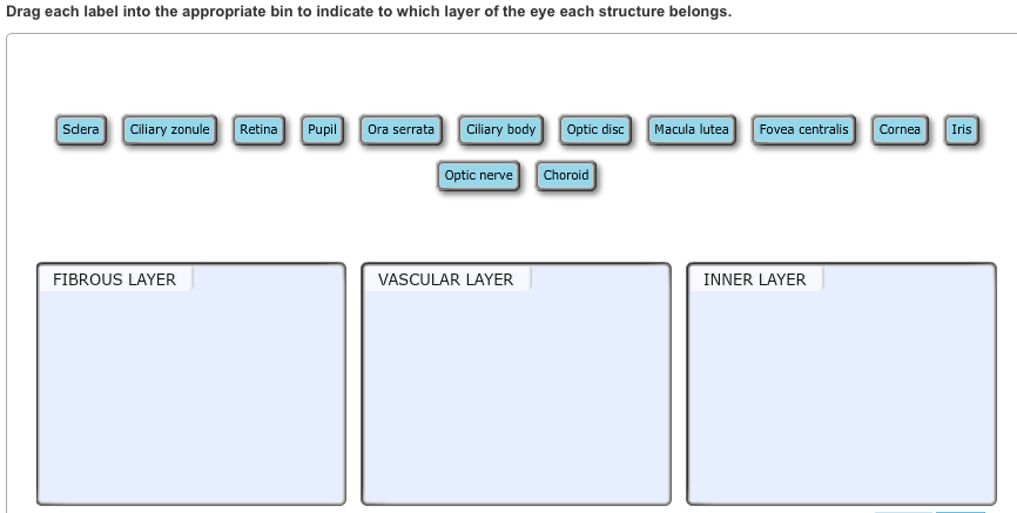 32 Drag Each Label To The Location Of Each Structure Described. Labels Design Ideas 2020