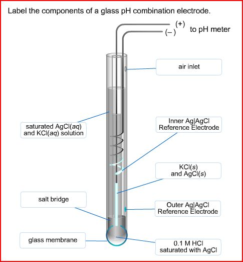 Solved Label the components of a glass pH combination | Chegg.com