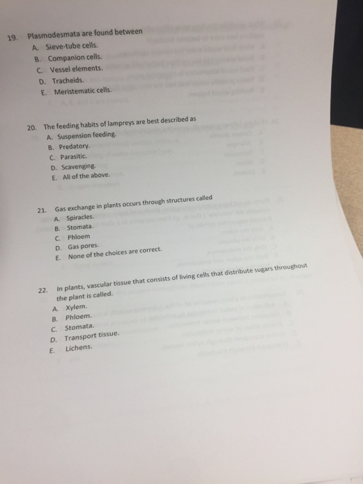 Solved Plasmodesmata are found between Sievetube cells.
