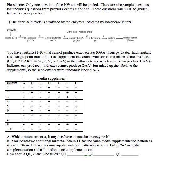 SCA_SLES15 Valid Dumps Questions