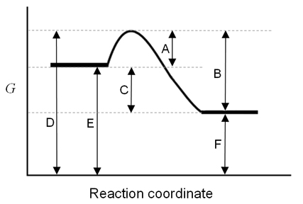 Solved The energy of the reactants of the reaction are | Chegg.com