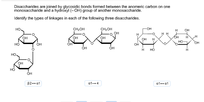 Solved Disaccharides are joined by glycosidic bonds formed | Chegg.com