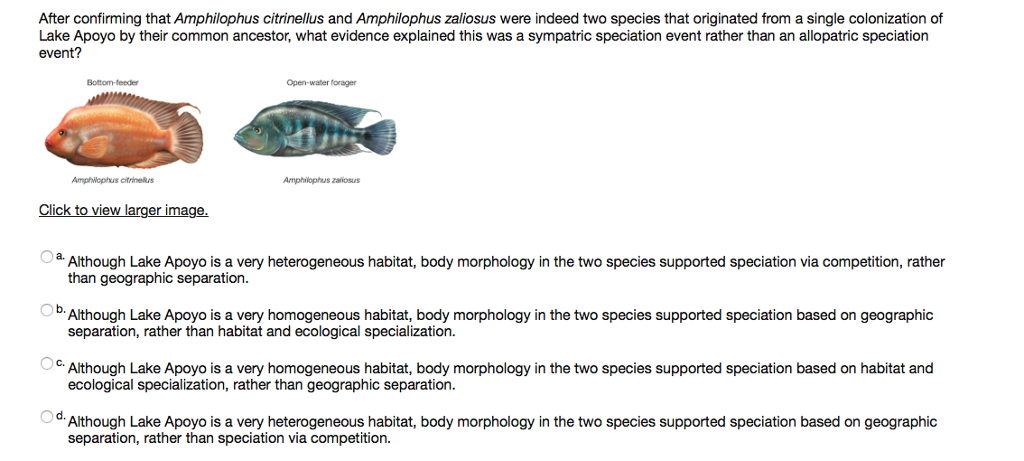 Solved After confirming that Amphilophus citrinellus and