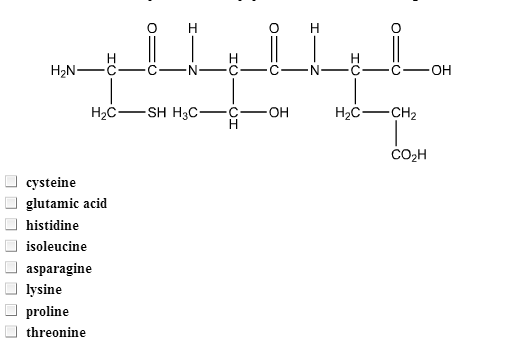 Solved Which amino acids are present in the peptide that has | Chegg.com