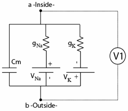 Solved In the circuit below, both conductances are initially | Chegg.com