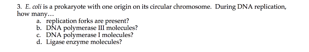 Solved 3. E. coli is a prokaryote with one origin on its | Chegg.com