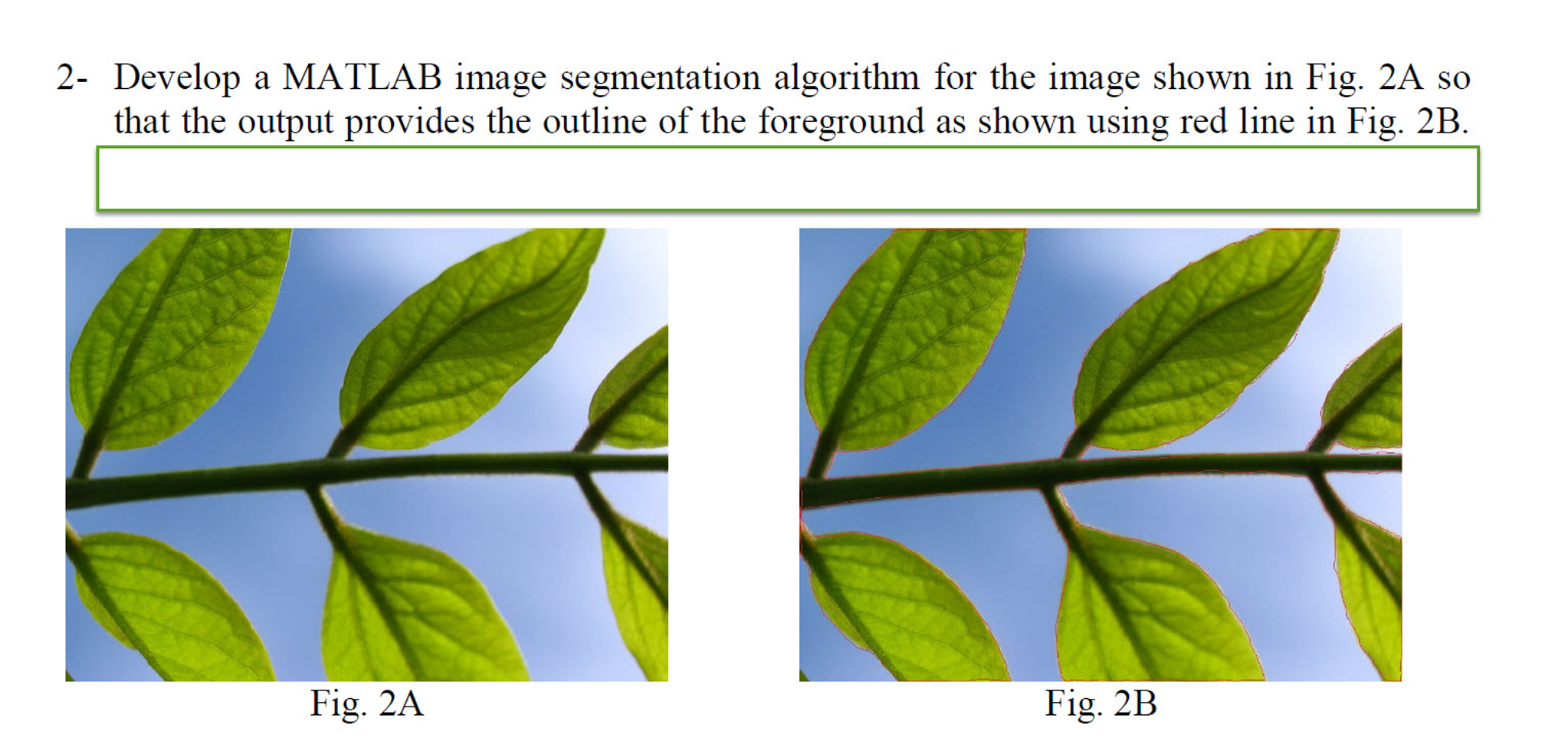 Develop a MATLAB image segmentation algorithm for the | Chegg.com