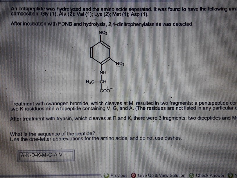 An Octapeptide Was Hydrolyzed And The Amino Acids Chegg