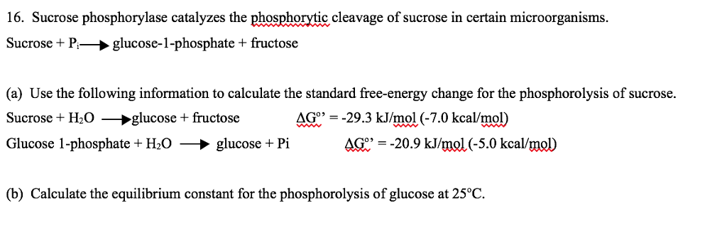 Solved 16. Sucrose phosphorylase catalyzes the phosphorytic | Chegg.com