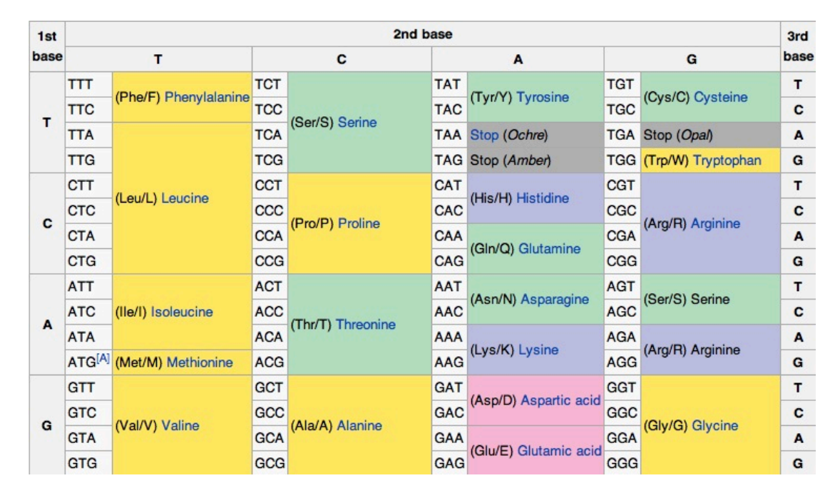 Coding properties. Genetic code properties. Genetic code Table. Аминокислоты генетический код. TTG кодон.