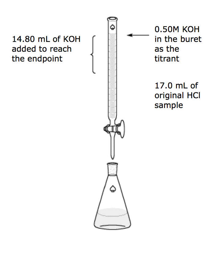 Solved What is the original molar concentration of the HCl | Chegg.com