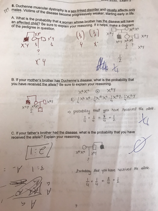 Solved Duchenne Muscular Dystrophy Is A Sex Linked Disorder 5239