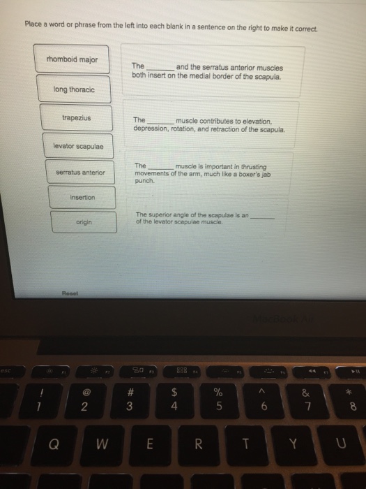 Solved Place a word or phrase from the left into each blank