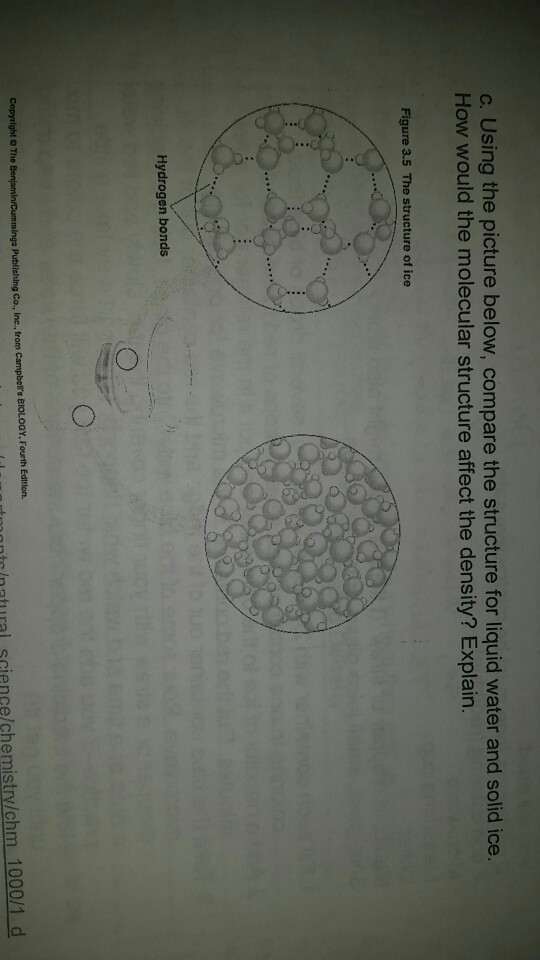 Solved 4. Calculate the dose of amoxicillin suspension in mL