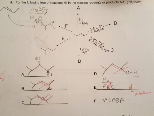 Solved I Need Some Help With This Organic Chemistry | Chegg.com