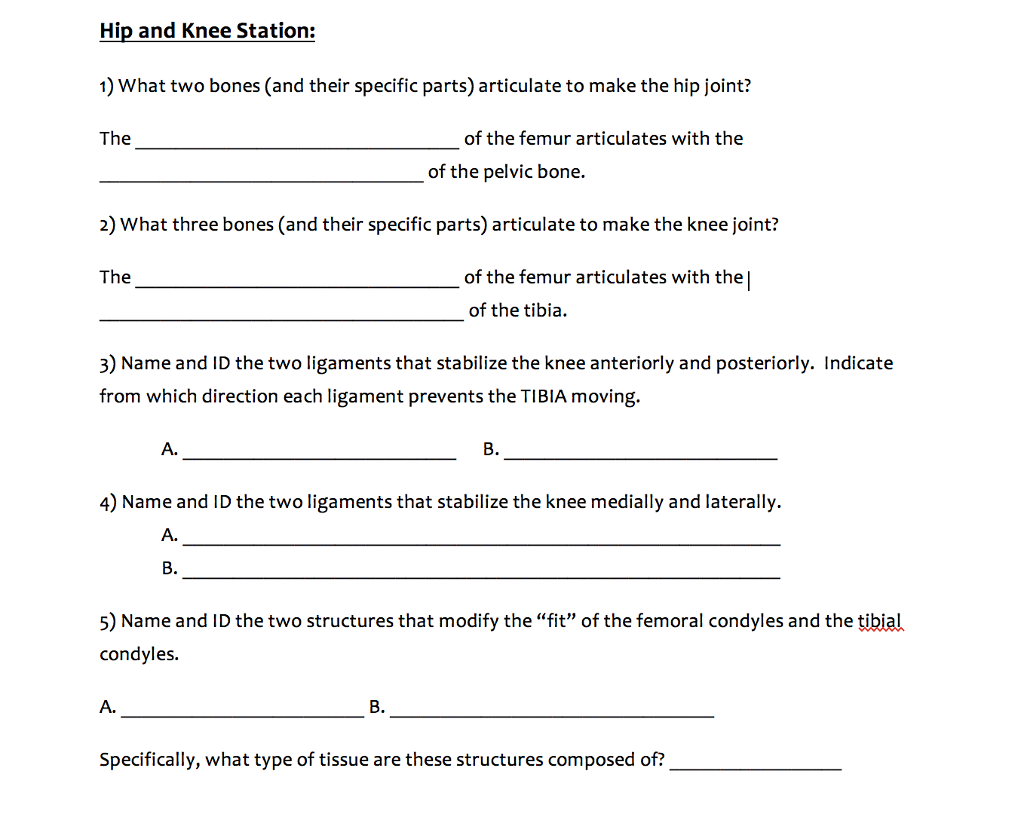 Solved I need all of the fill in the blanks answered as soon | Chegg.com