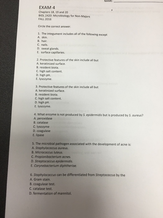 Solved The integument includes all of the following except