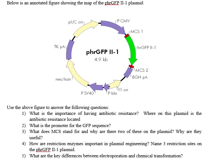 solved-below-is-an-annotated-figure-showing-the-map-of-the-chegg