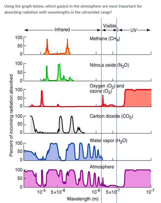 Solved Using the graph below, which gas(es) in the
