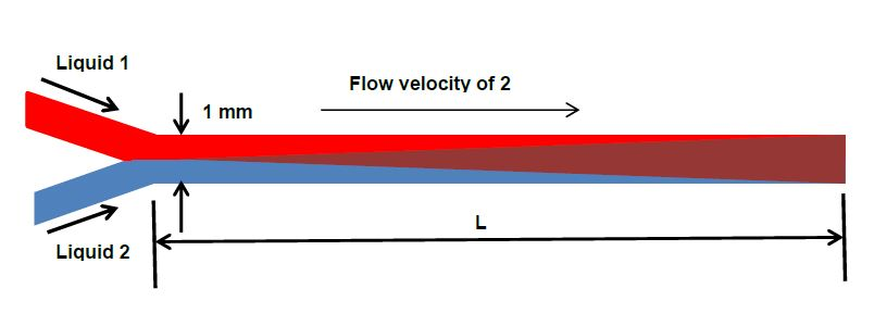 Two liquids flow together into a channel 1 mm in | Chegg.com