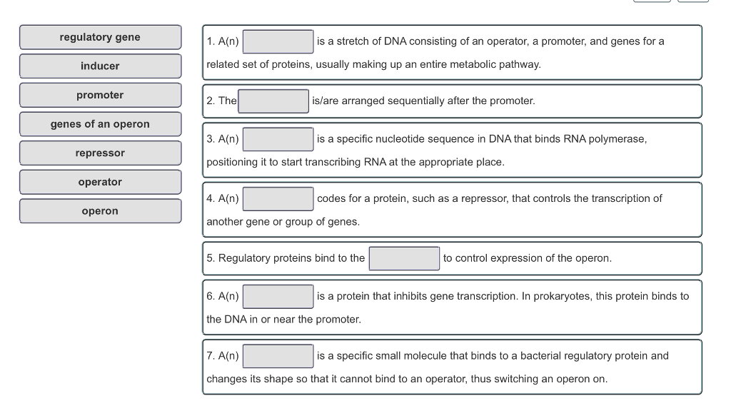 Solved regulatory gene inducer promoter genes of an operon | Chegg.com