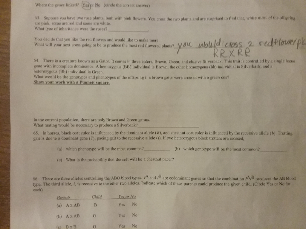 solved-where-the-genes-linked-yes-or-no-circle-the-correct-chegg