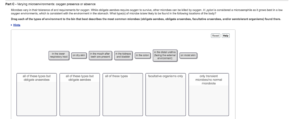 solved-part-c-varying-microenvironments-oxygen-presence-or-chegg